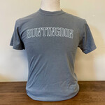 Hollow Team Comfort Color Grey Tee