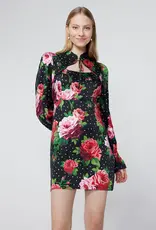 KITRI Valentina Rose Print Mini Dress