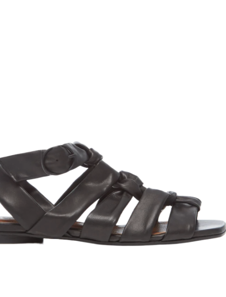 Coclico Flair Sandal