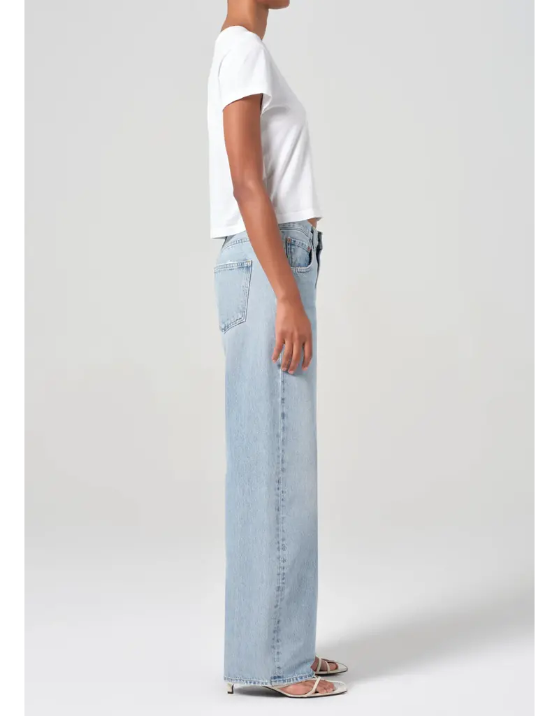 Agolde Low Curve Jean