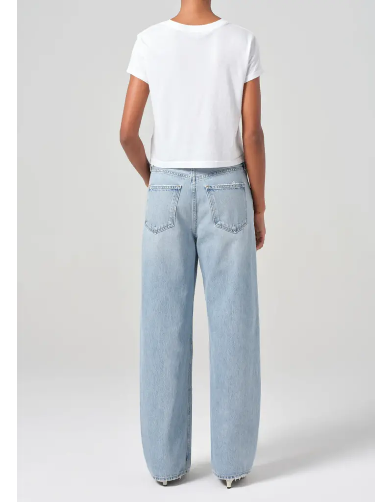 Agolde Low Curve Jean