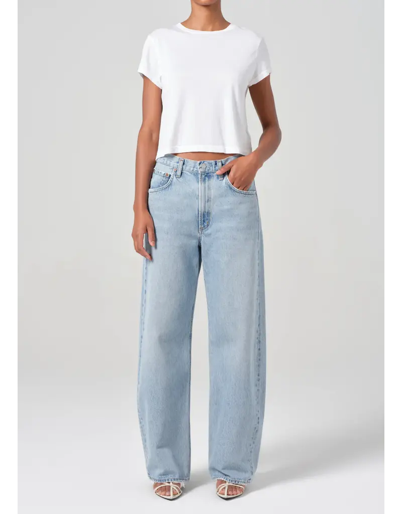 Agolde Low Curve Jean