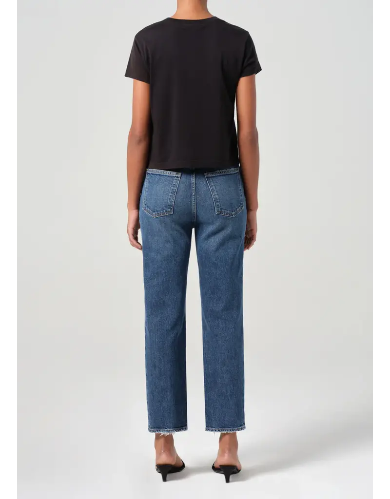 Agolde 90's Pinch Waist Crop