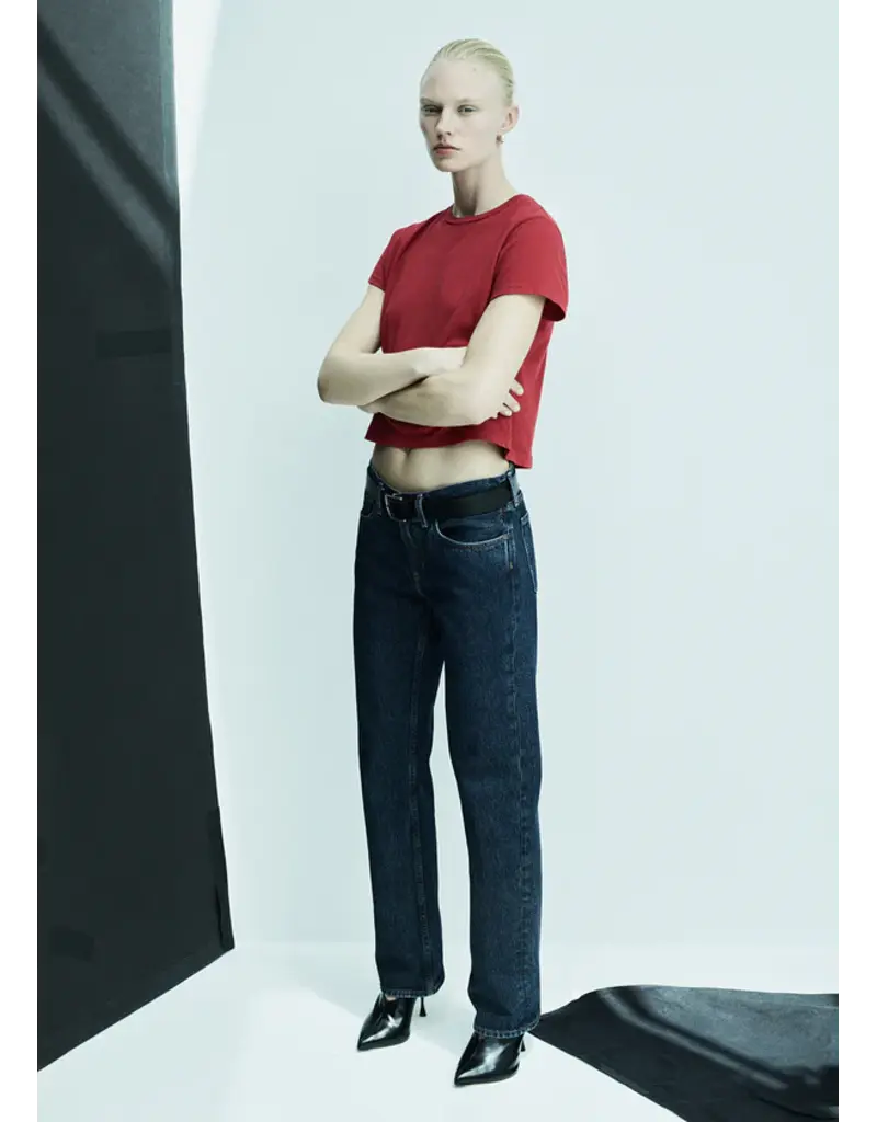 Agolde Low Rise Slim