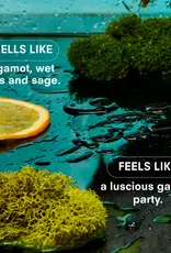 Boy Smells HERBACEOUS