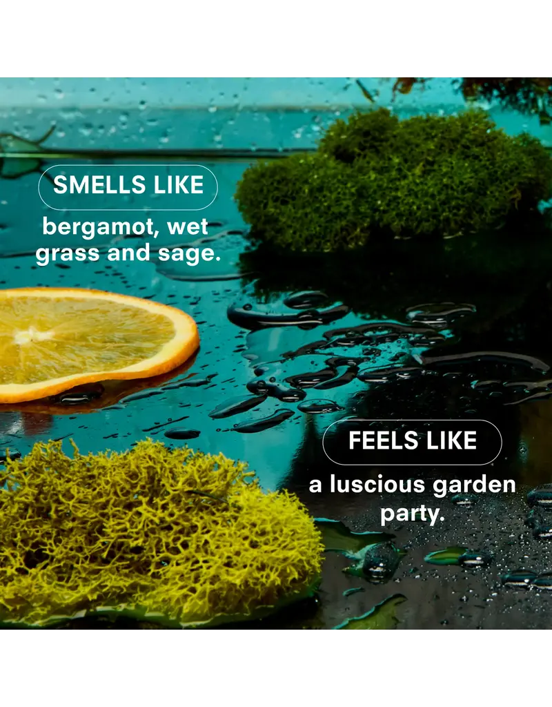 Boy Smells HERBACEOUS