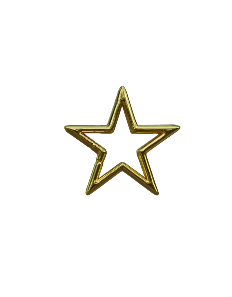 SPICY DAN SHAPE CARABINER