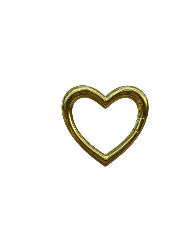 SPICY DAN SHAPE CARABINER