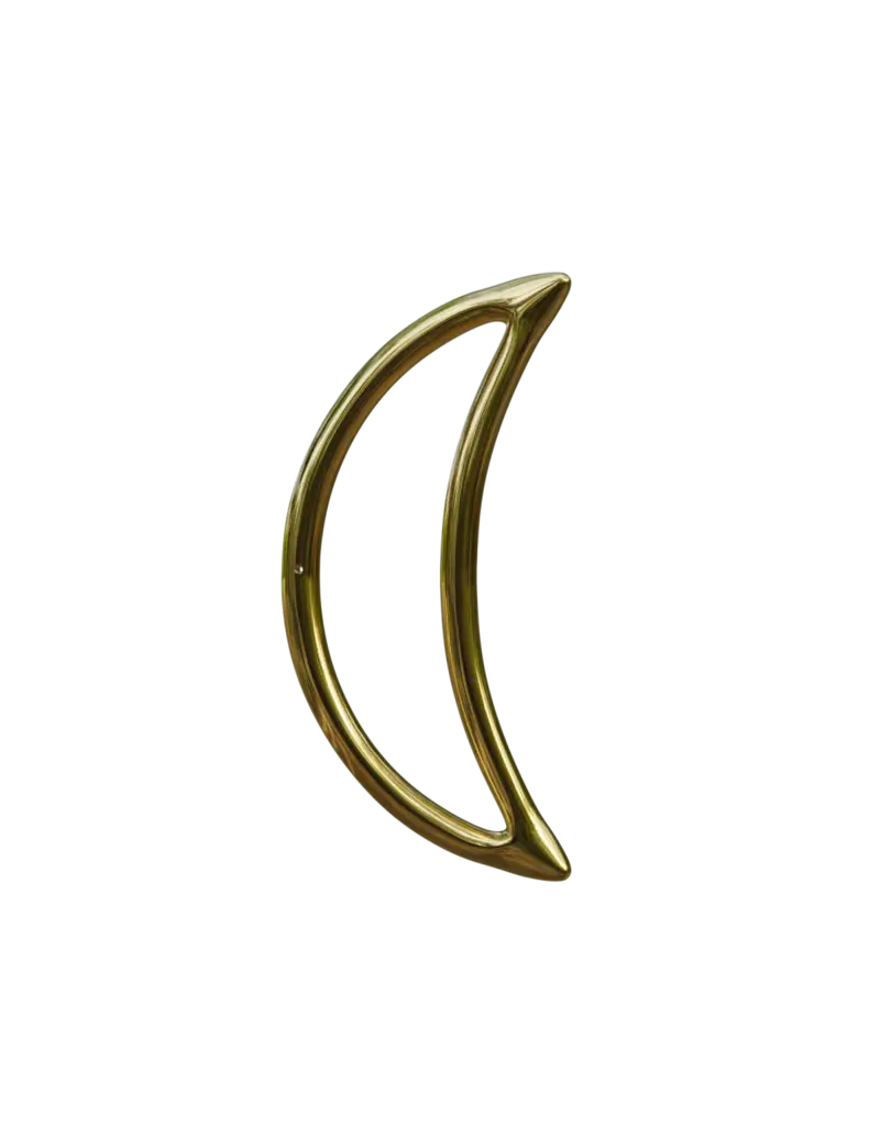 SPICY DAN SHAPE CARABINER