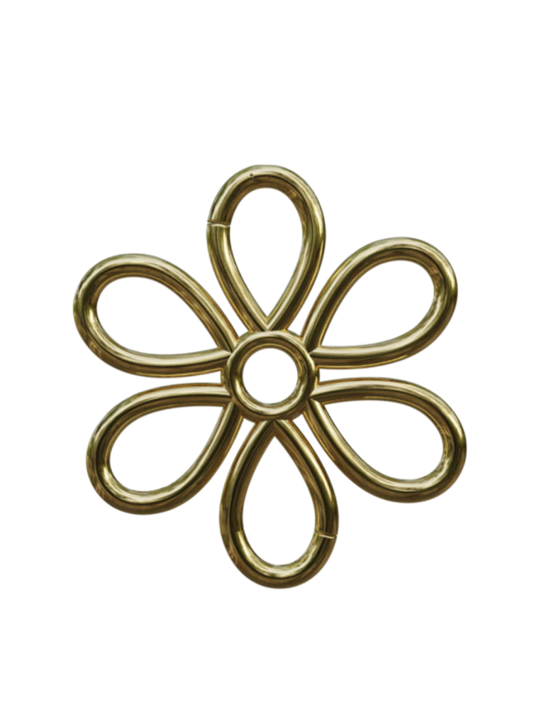 SPICY DAN SHAPE CARABINER