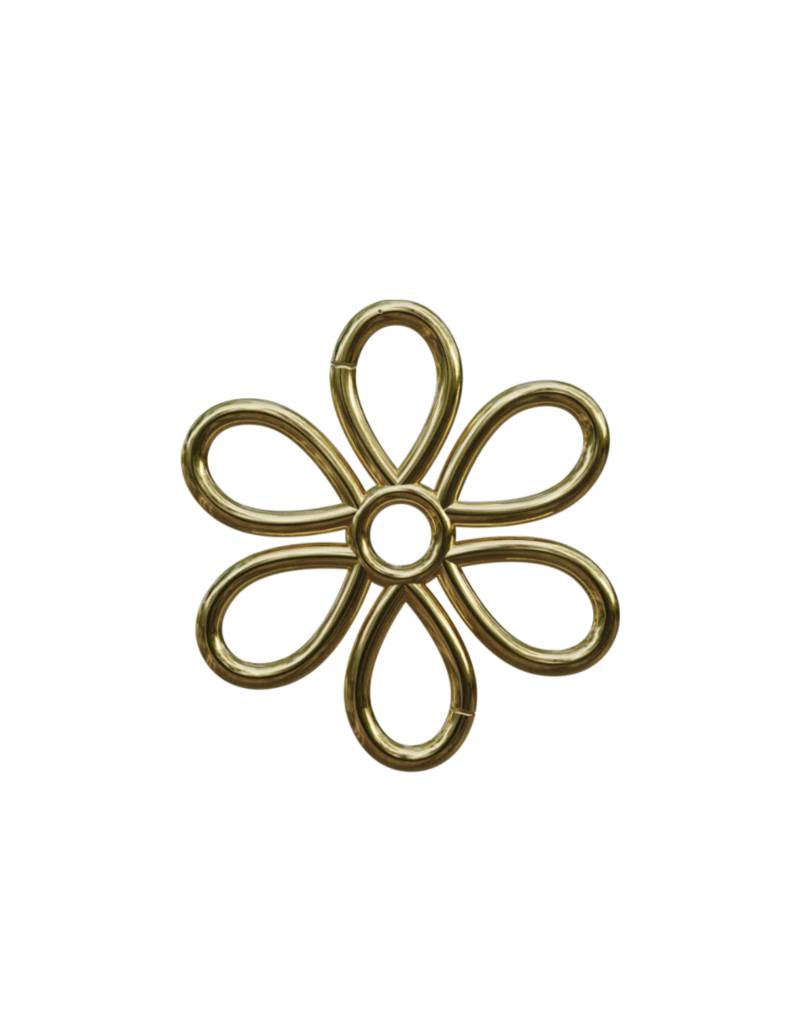 SPICY DAN SHAPE CARABINER