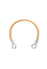 Marla Aaron The String Project