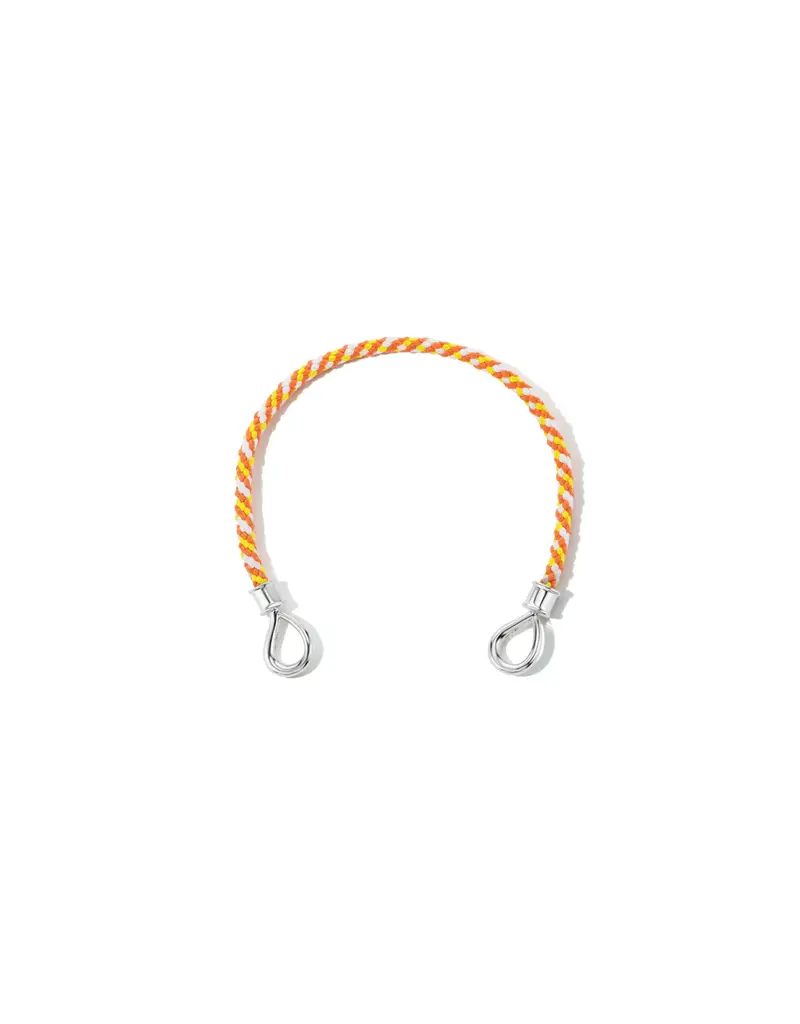 Marla Aaron The String Project