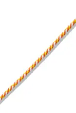 Marla Aaron The String Project