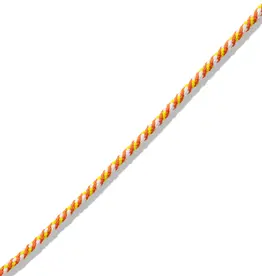 Marla Aaron The String Project