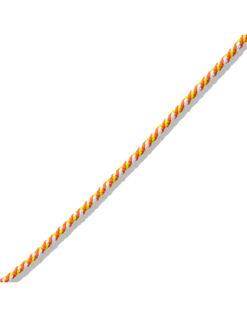 Marla Aaron The String Project