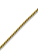 Marla Aaron The String Project