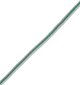 Marla Aaron The String Project