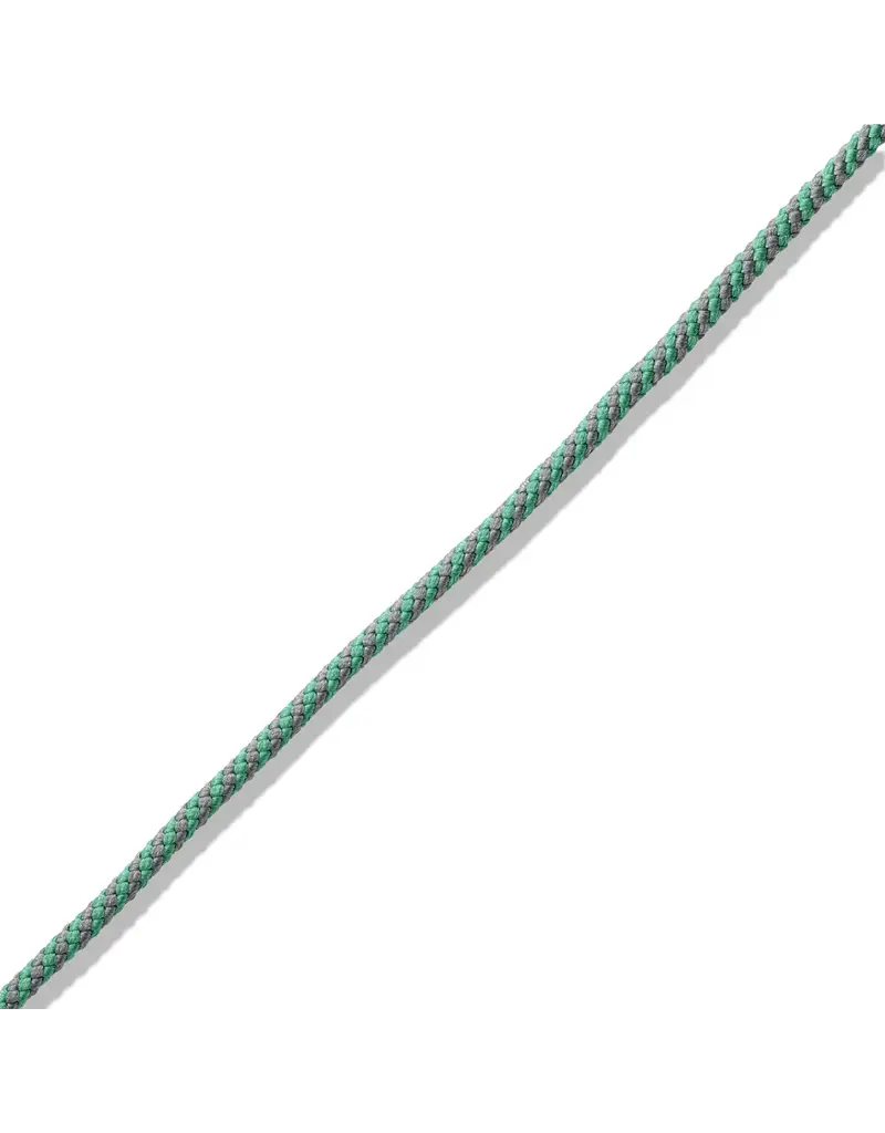 Marla Aaron The String Project