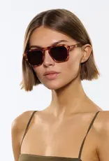 Krewe ZANDER HAWKSBILL