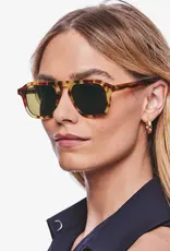 Krewe ZANDER HAWKSBILL