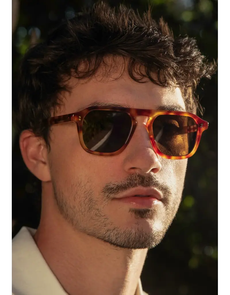 Krewe ZANDER HAWKSBILL