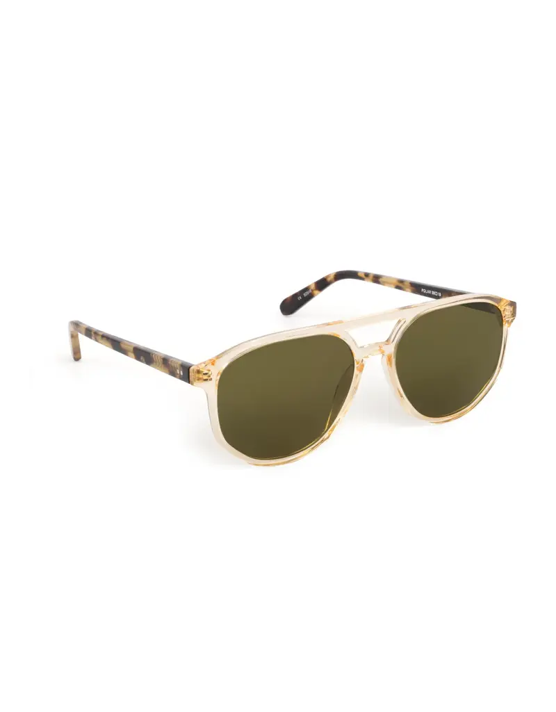 Krewe Brando Polarized