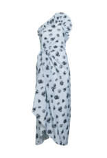 DELPHINE CHARLOTTE DITSY FLORAL DRESS