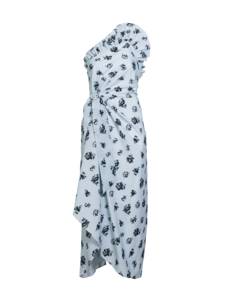 DELPHINE CHARLOTTE DITSY FLORAL DRESS