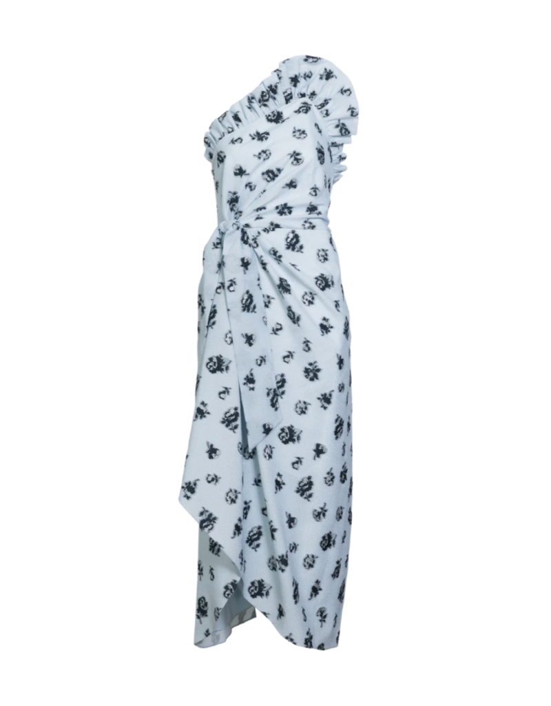 DELPHINE CHARLOTTE DITSY FLORAL DRESS
