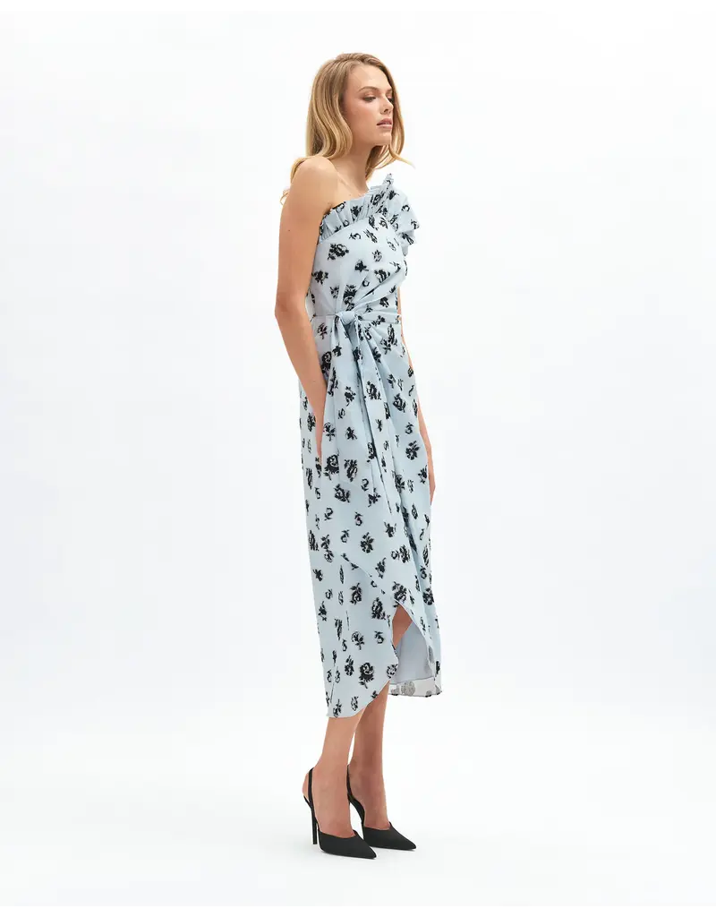DELPHINE CHARLOTTE DITSY FLORAL DRESS