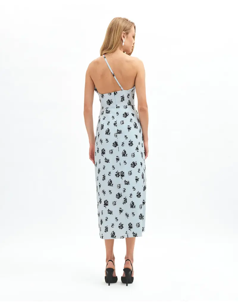 DELPHINE CHARLOTTE DITSY FLORAL DRESS