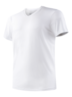 SAXX SAXX - SS V Neck Undershirt (SXTV19)