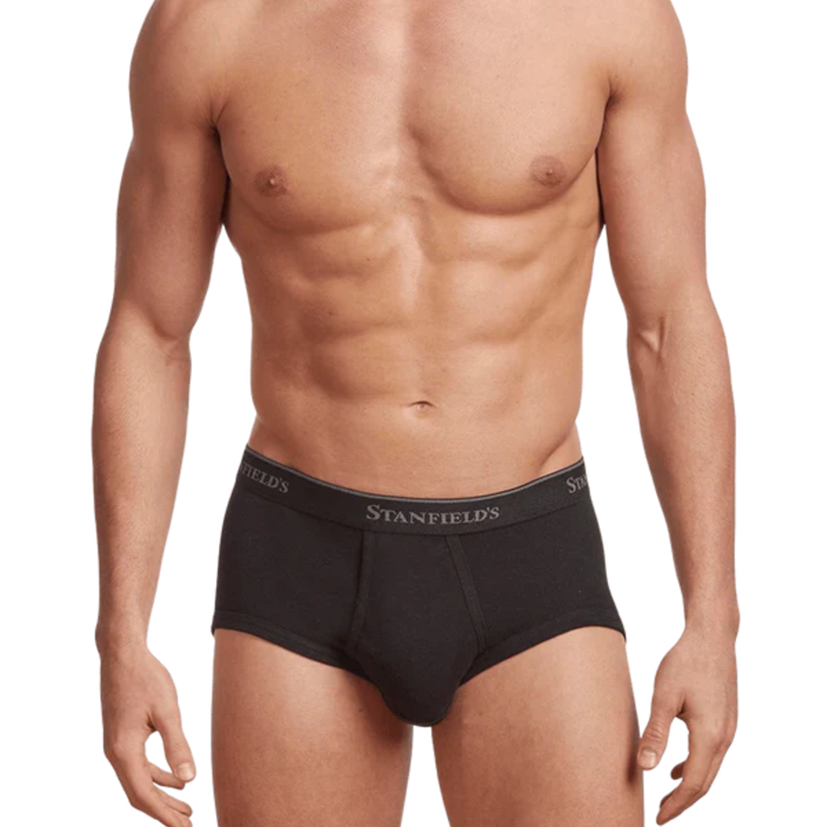 Stanfield's MEN'S PREMIUM BRIEF - 3 PACK