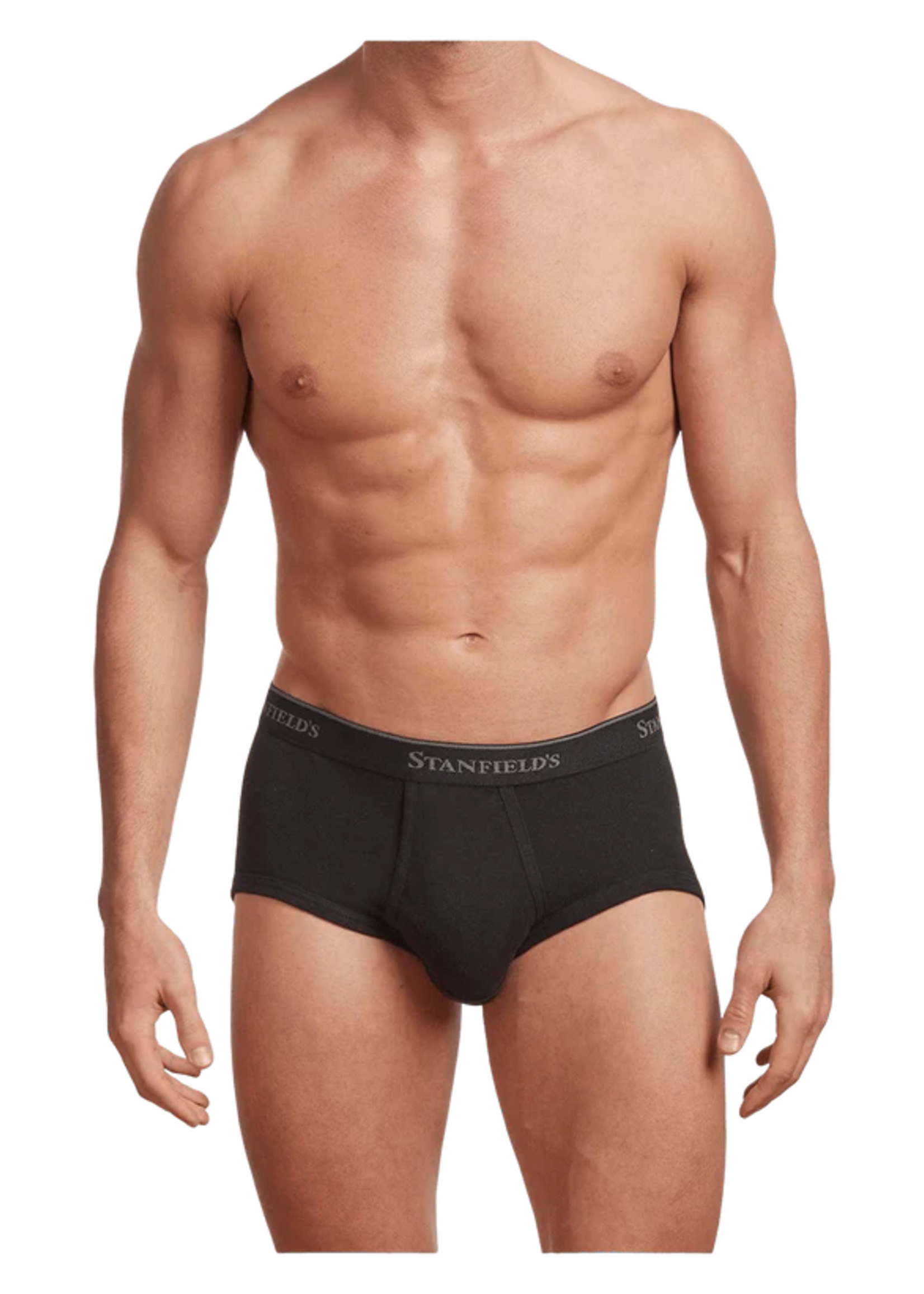 Stanfield's MEN'S PREMIUM BRIEF - 3 PACK
