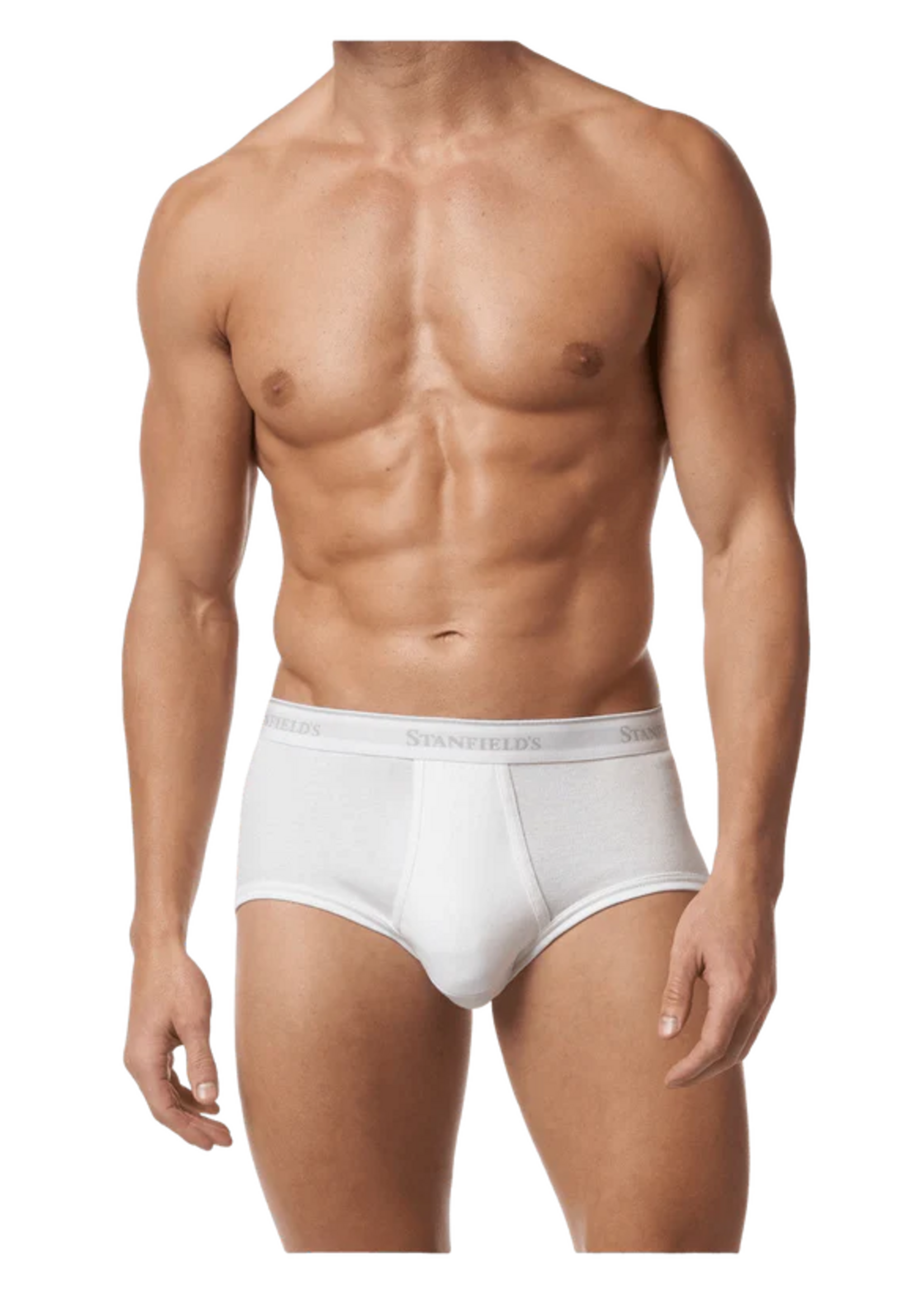 Stanfield's MEN'S PREMIUM BRIEF - 3 PACK
