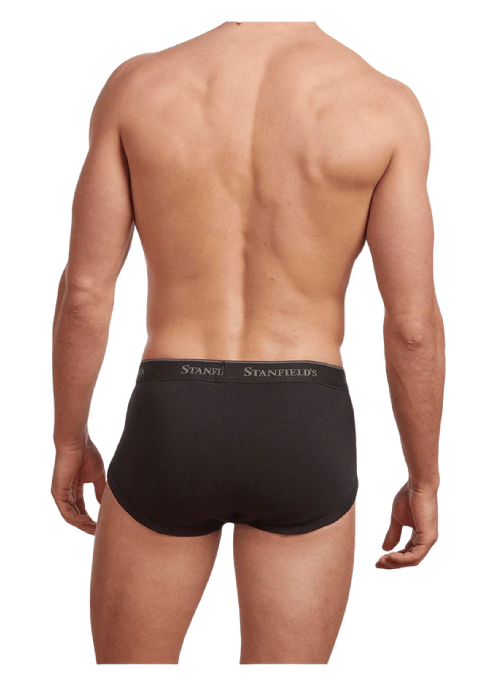 Stanfield's MEN'S PREMIUM BRIEF - 3 PACK