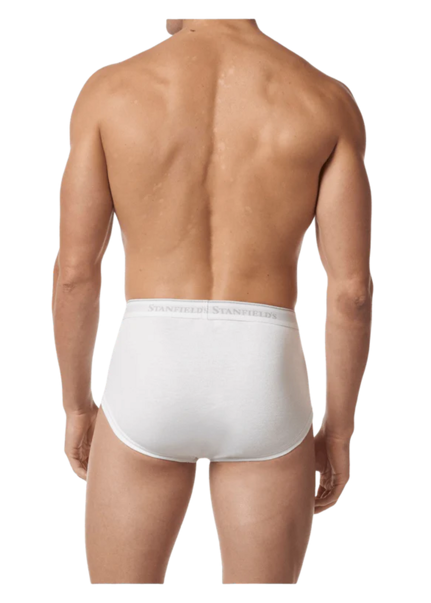 Stanfield's MEN'S PREMIUM BRIEF - 3 PACK