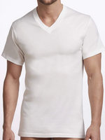 Stanfield's Stanfield's - 2 PK Premium V-Neck T-Shirt (2570)