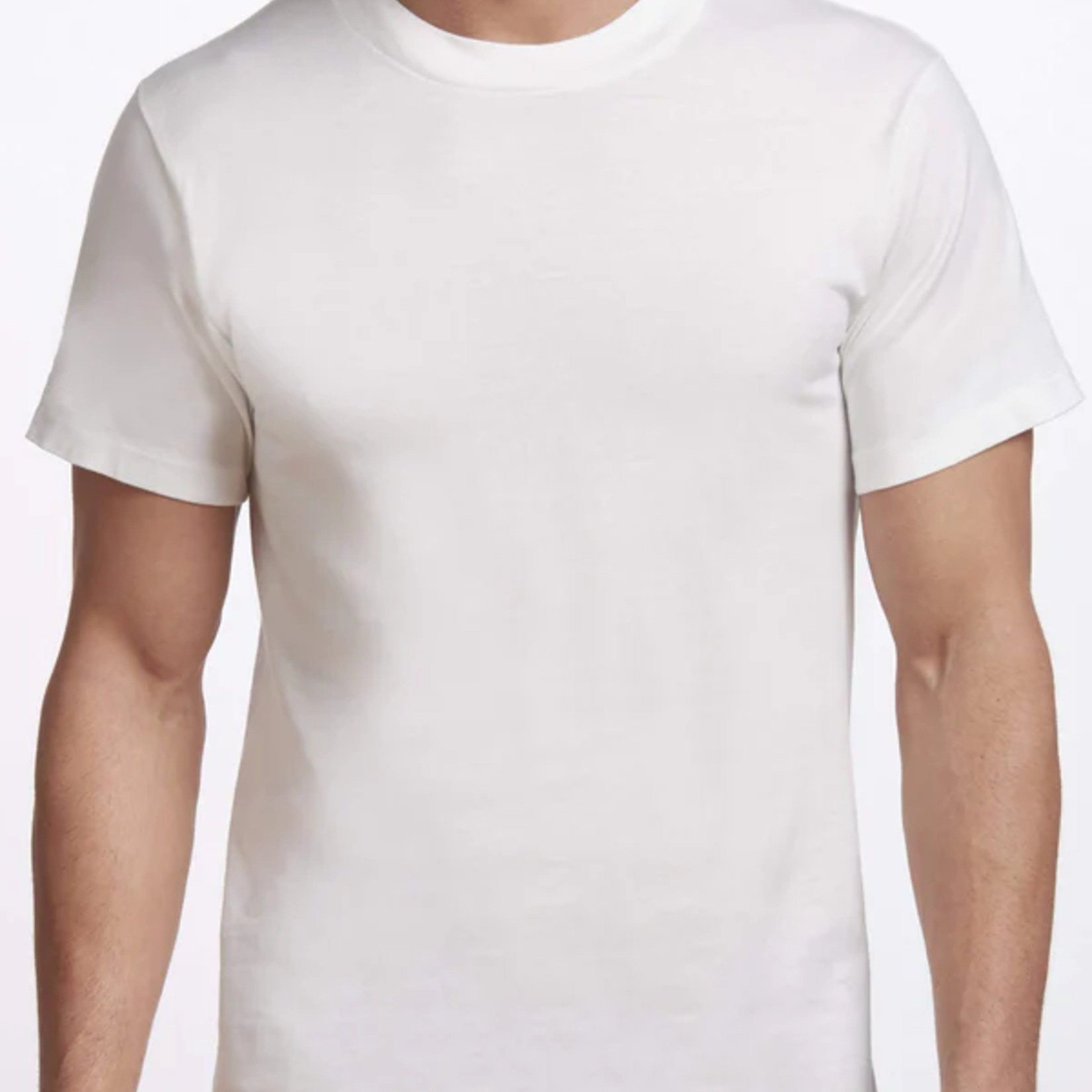 Stanfield's MEN'S PREMIUM CREW NECK T-SHIRT - 2 PACK