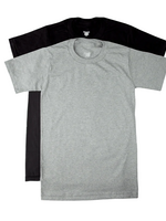Stanfield's Stanfield's - 2 PK Premium Crew Neck T-Shirt (2582)