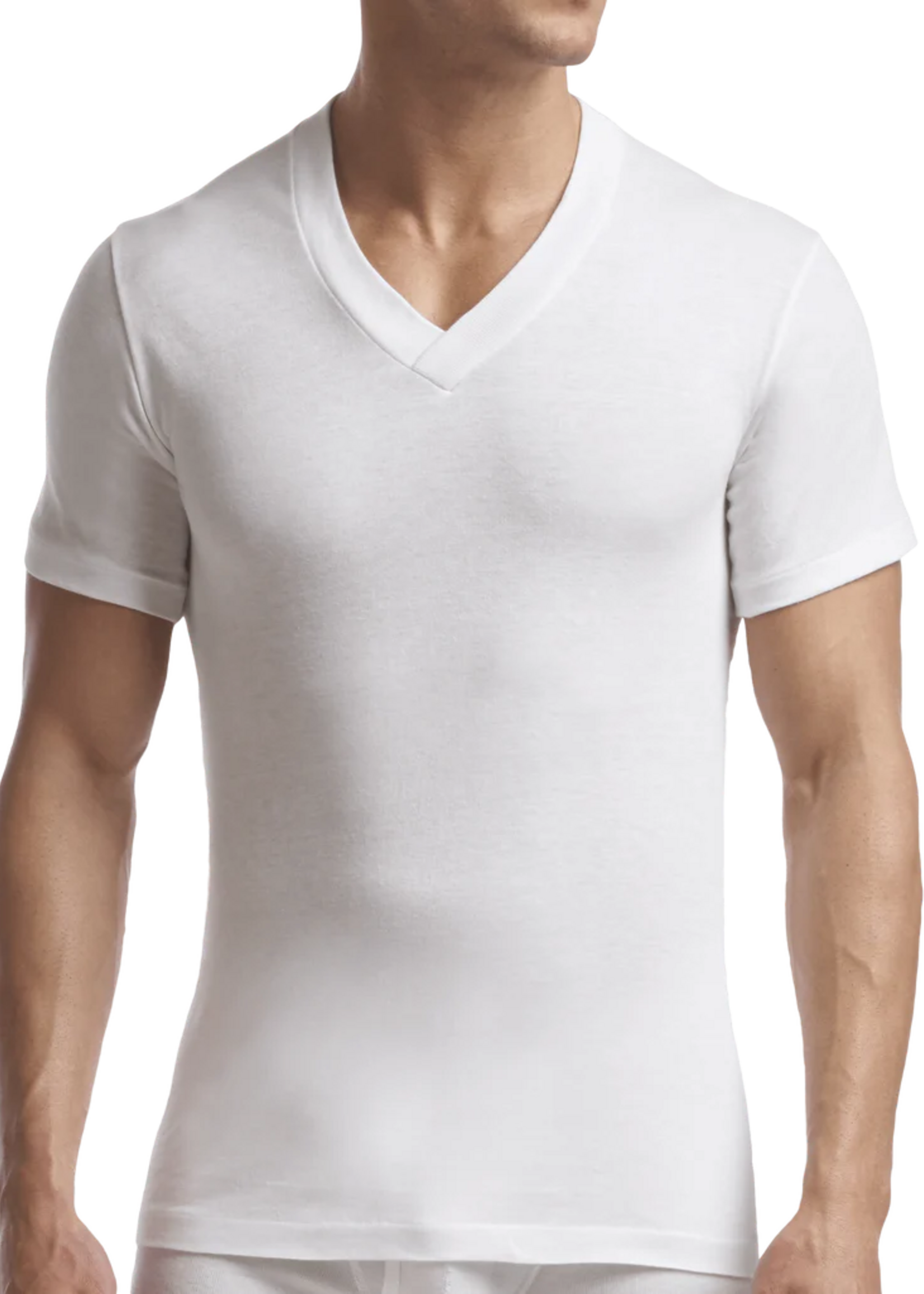 Stanfield's MEN'S SUPREME V-NECK T-SHIRT - 2 PACK