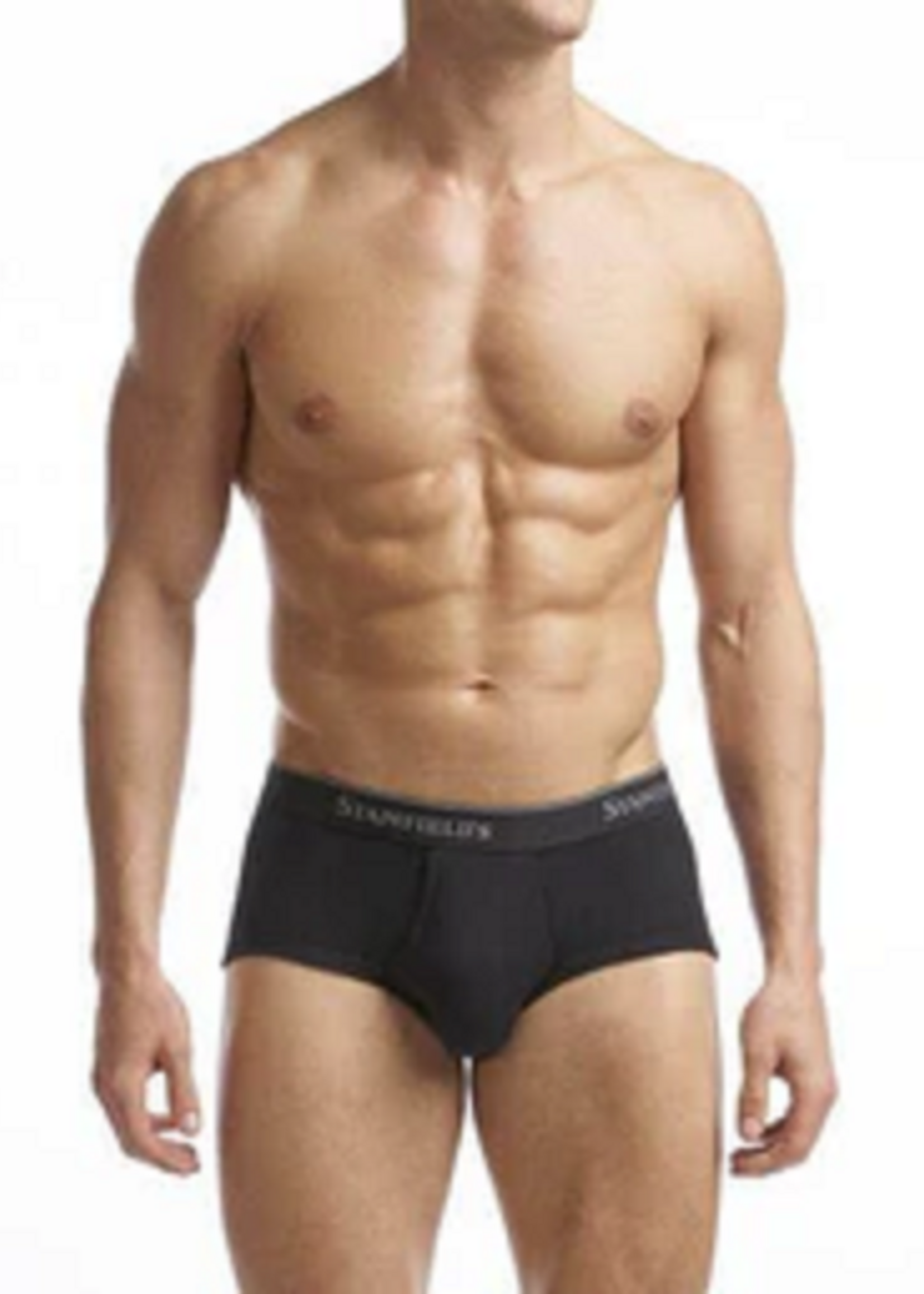 Stanfield's MEN'S SUPREME BRIEF - 2 PACK