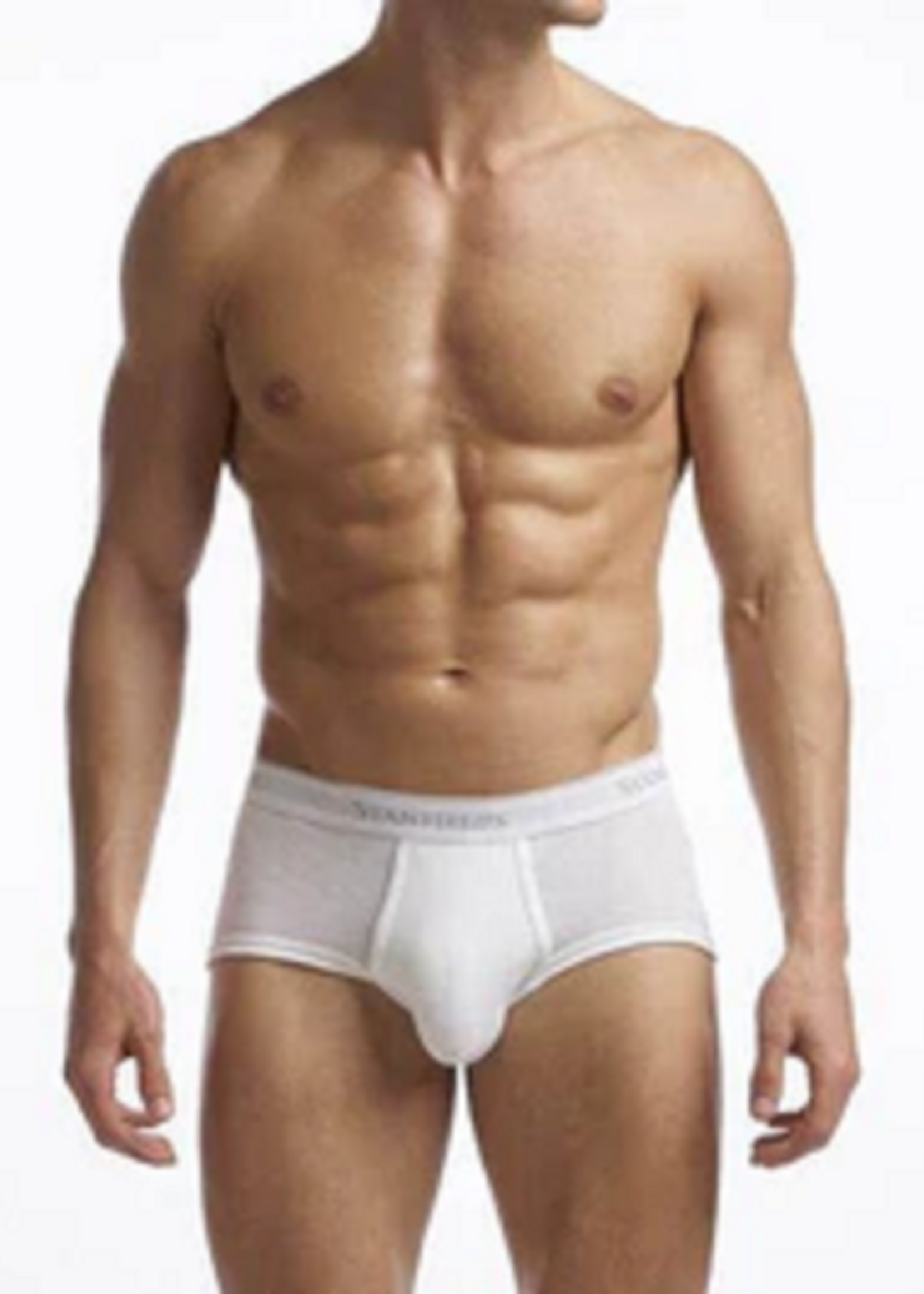 Stanfield's MEN'S SUPREME BRIEF - 2 PACK