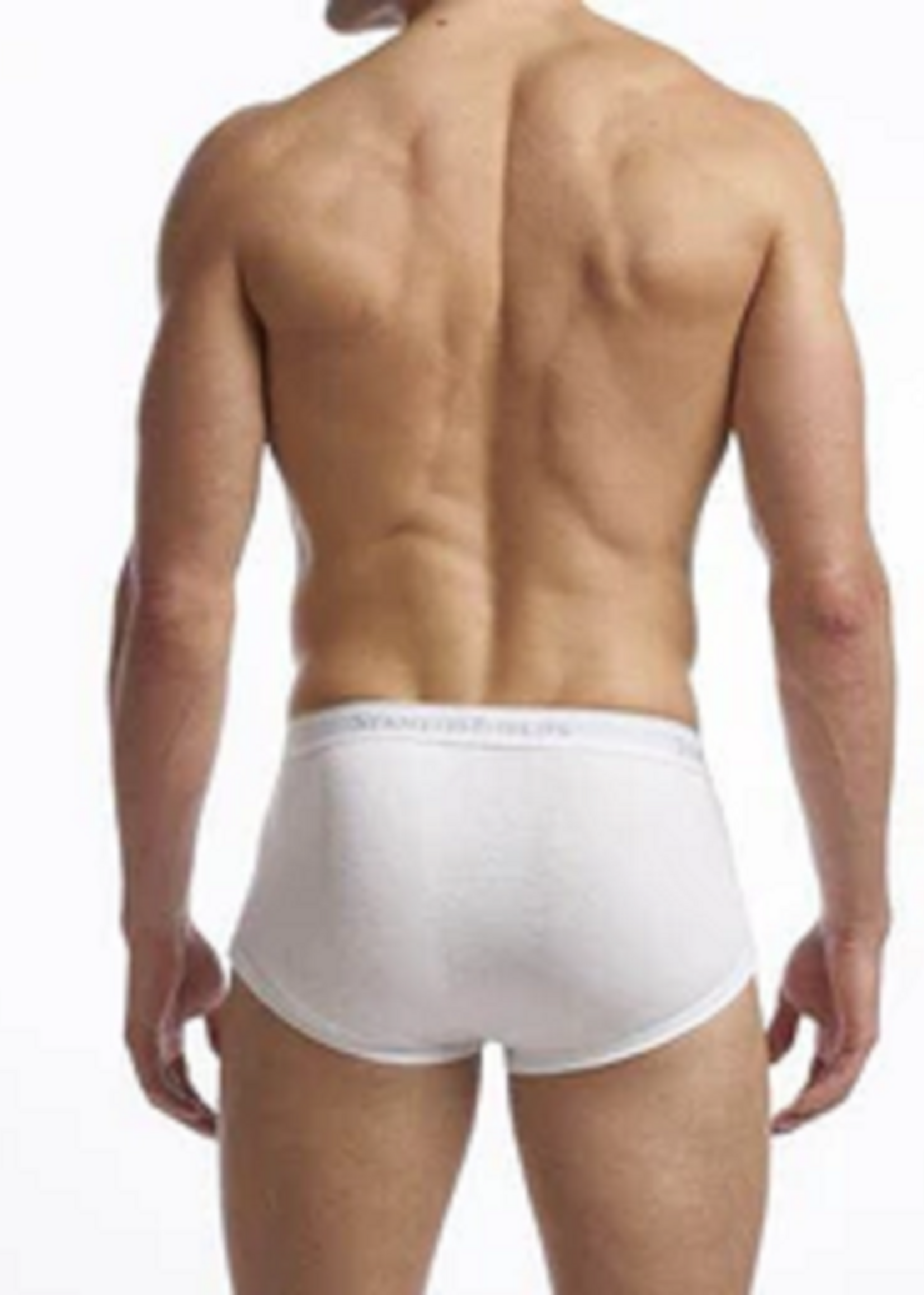 Stanfield's MEN'S SUPREME BRIEF - 2 PACK