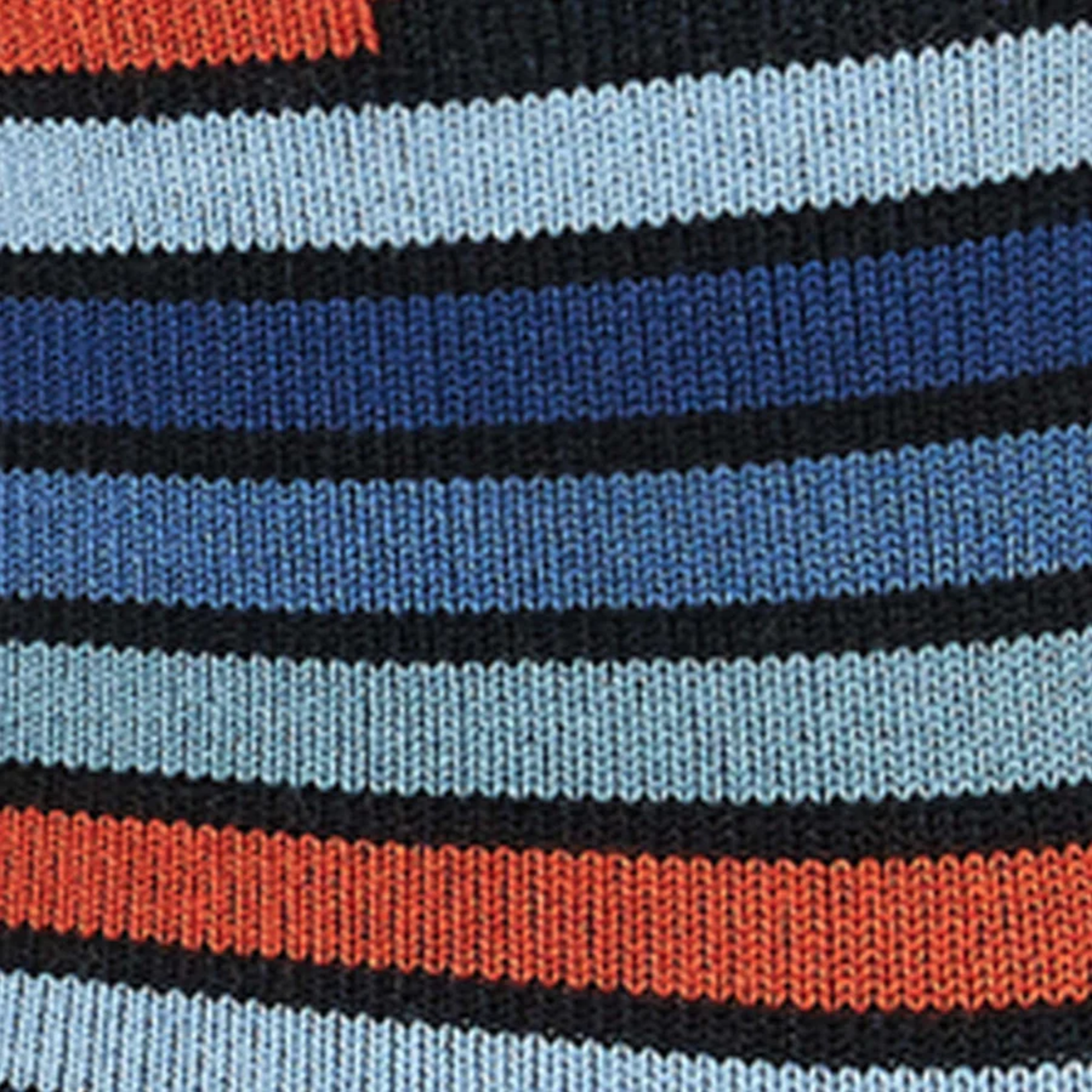 SAXX WHOLE PACKAGE CREW SOCK | Fins, Blue Multi