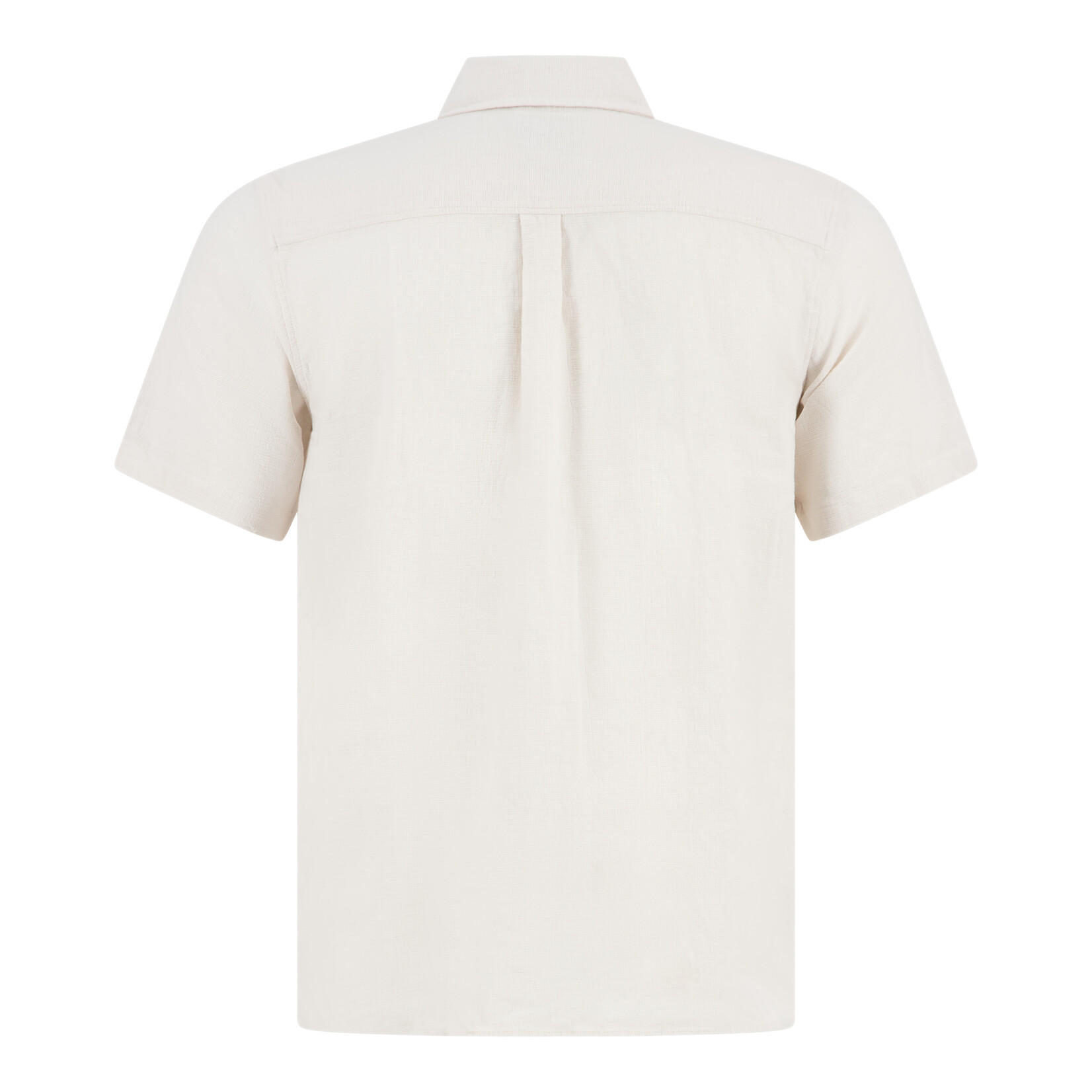 A Fish Named Fred CUBAN | Havana Sand