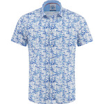 A Fish Named Fred A Fish Named Fred - SAILING BOATS |