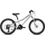 Specialized HTRK 20 INT LTSIL/BLK 9