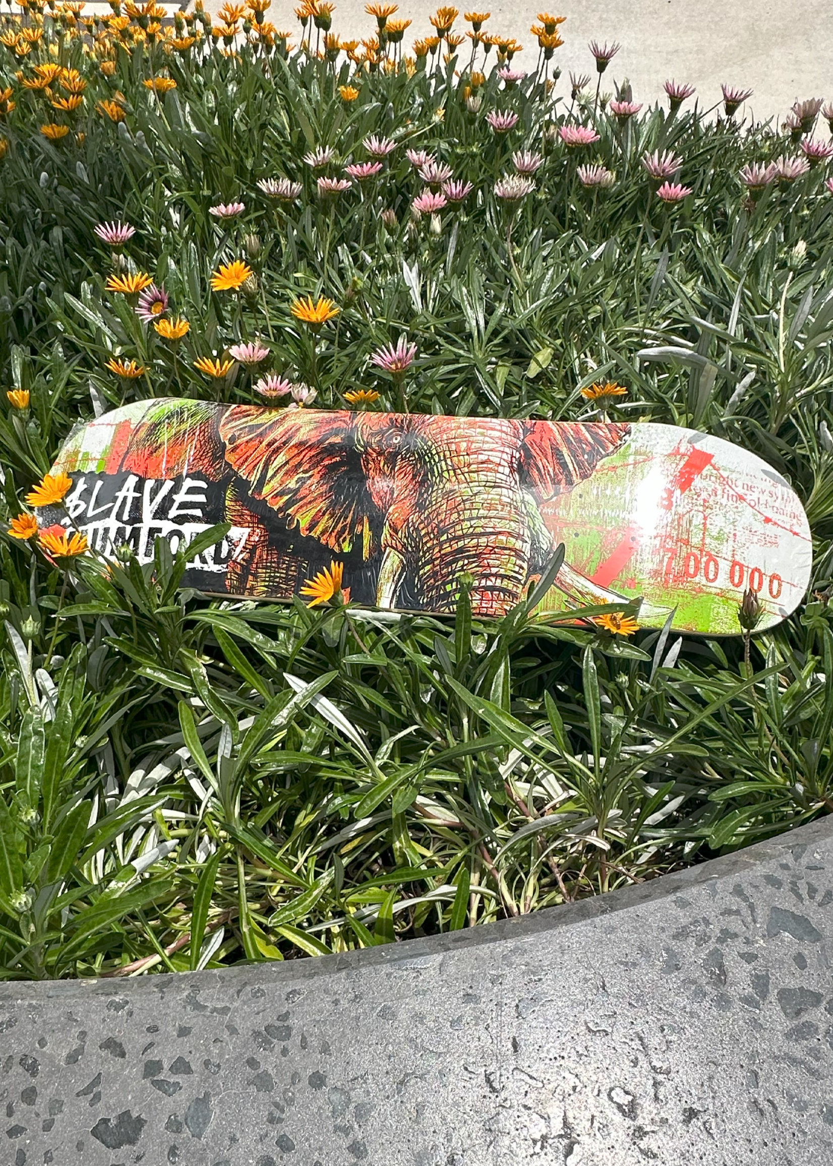 $lave $LAVE - Wild Life Elephant Mumford - 8.675"